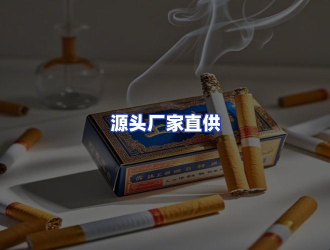 专业团队